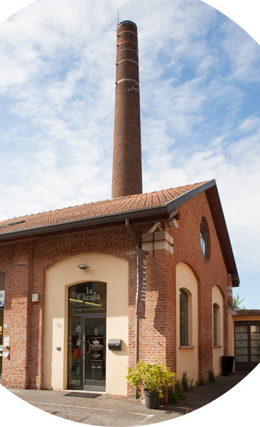 libreria la Cicala Merate