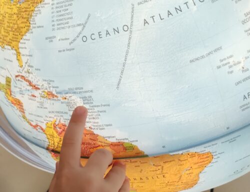 FUORIPROGRAMMA: Incartare il mondo