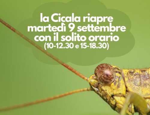 IL RITORNO DELLA CICALA
